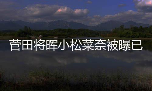 被曝打算男方小松菅田将晖居 结婚菜奈已同已有